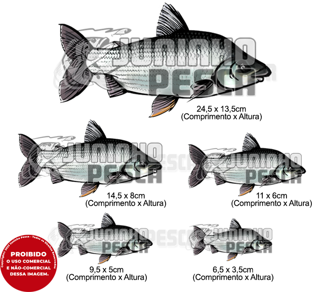 Adesivo Personalizado Peixe - Curimba