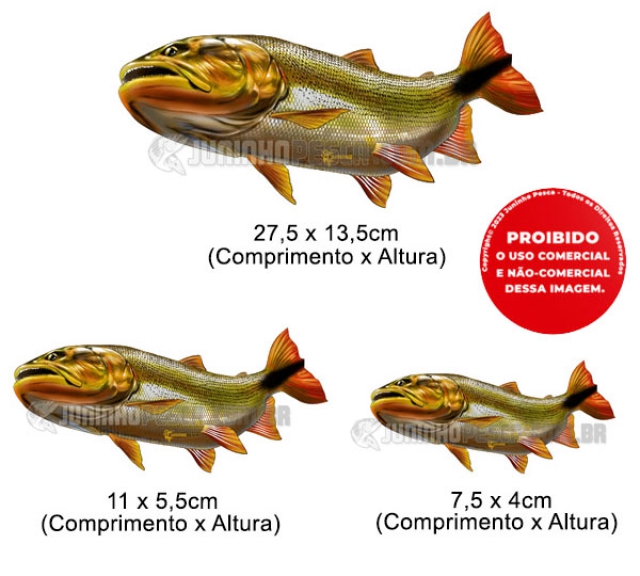 Adesivo Personalizado Peixe - Dourado do Rio 3