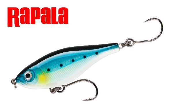 Isca Artificial Rapala Saltwater X-Rap Twitchin� Mullet SXRTM-08