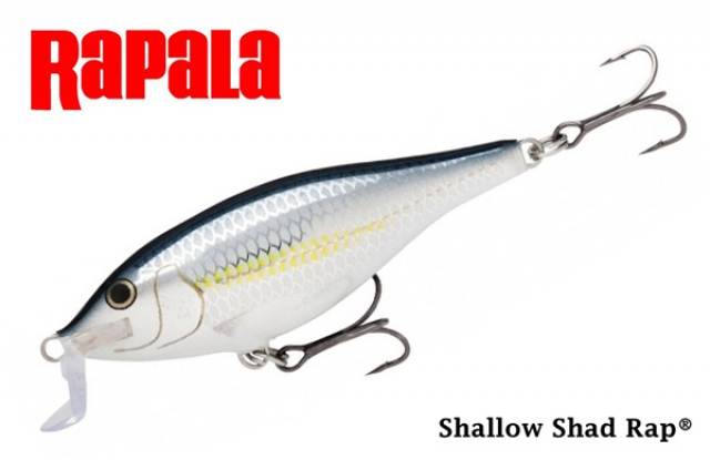 Isca Artificial Rapala Shallow Shad Rap SSR-7