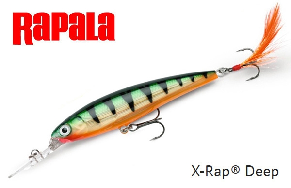 Isca Artificial Rapala X-Rap Deep XRD-10 10cm 13gr