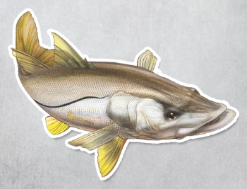 Adesivo Personalizado Peixe - Robalo  26 x 15,5cm