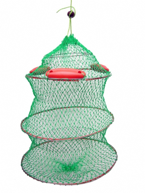 Sambur� Flutuante V Fox