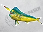 Adesivo Personalizado Peixe - Dourado do Mar