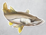 Adesivo Personalizado Peixe - Robalo  26 x 15,5cm